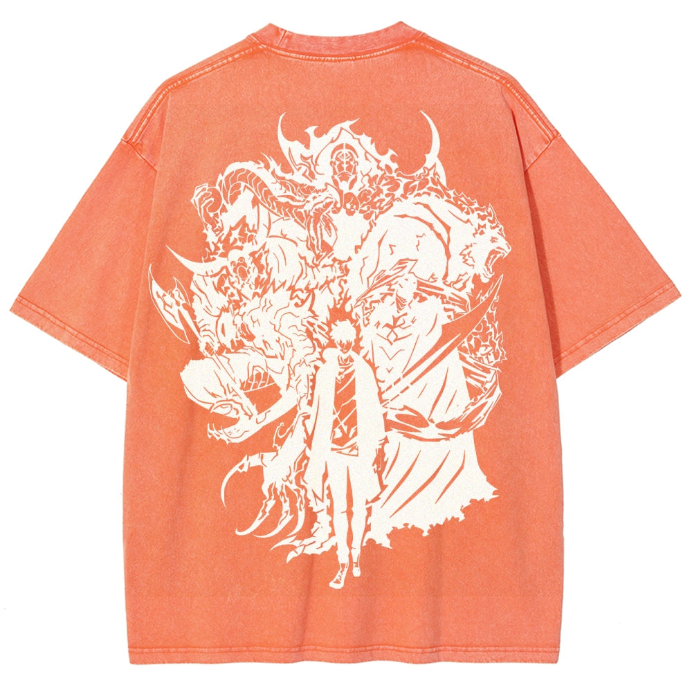 solo levelingUnisex Fit Washed T-Shirt 2502004720