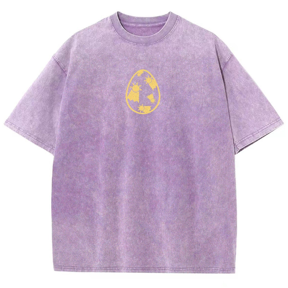 Digimon Unisex Fit Washed T-Shirt 2511008431