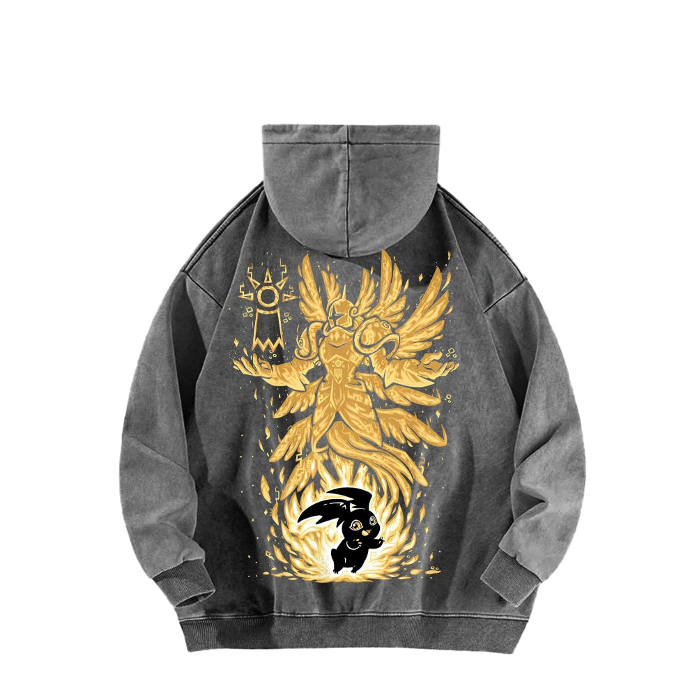 Digimon Unisex washed sweatshirts 2511015049