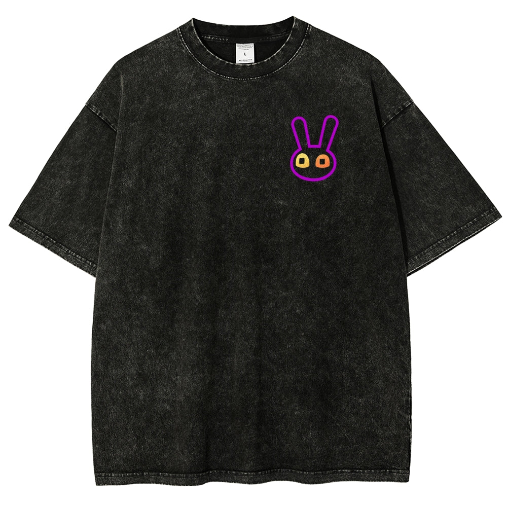 The Amazing Digital Circus Unisex Fit Washed T-Shirt 2512018580