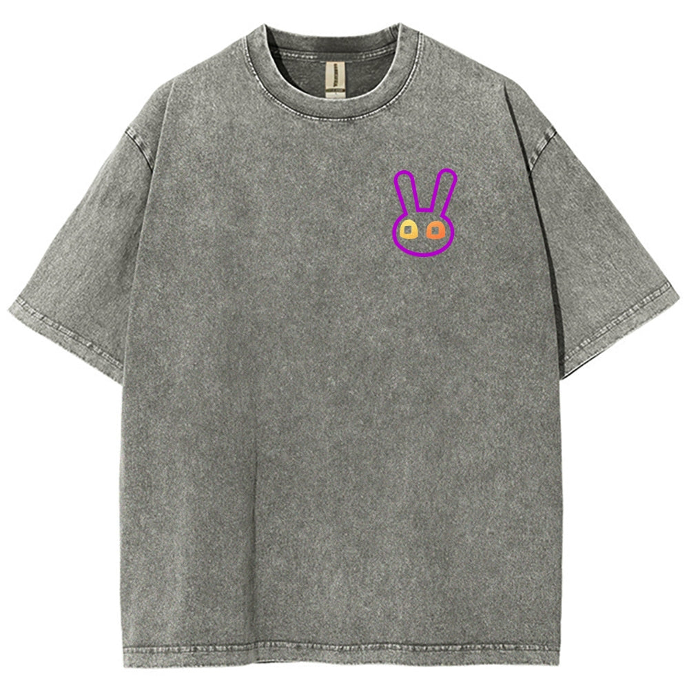 The Amazing Digital Circus Unisex Fit Washed T-Shirt 2512018580