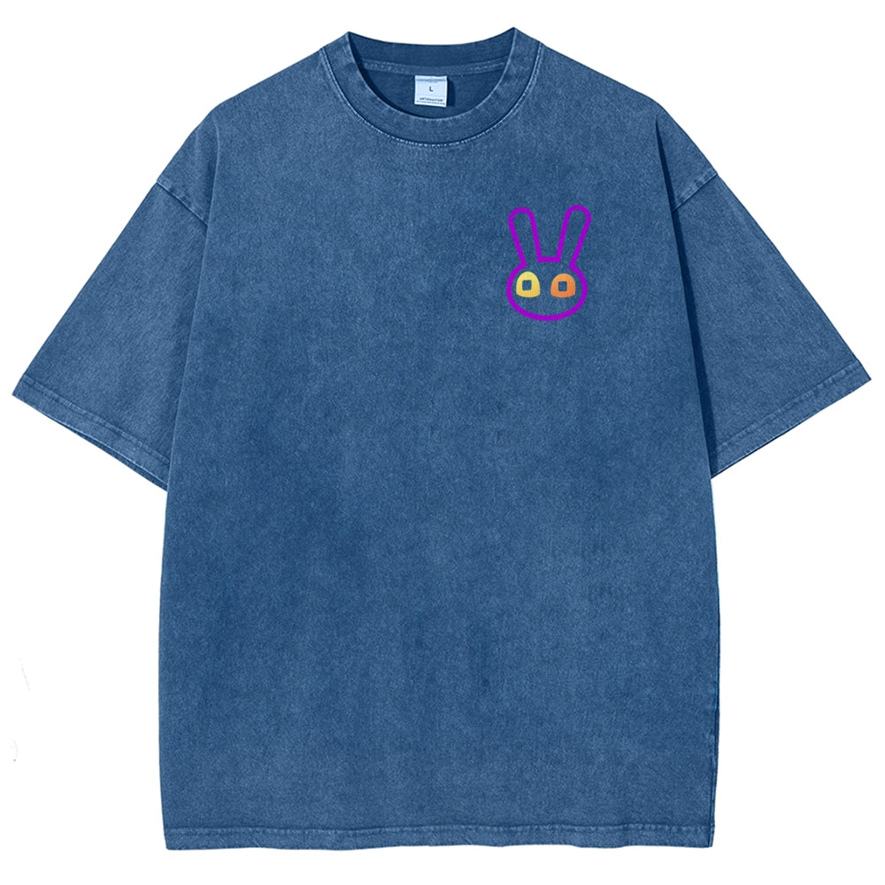 The Amazing Digital Circus Unisex Fit Washed T-Shirt 2512018580