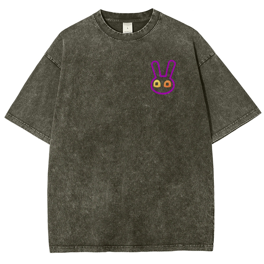 The Amazing Digital Circus Unisex Fit Washed T-Shirt 2512018580