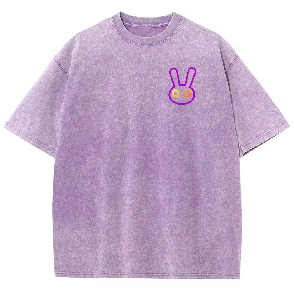 The Amazing Digital Circus Unisex Fit Washed T-Shirt 2512018580