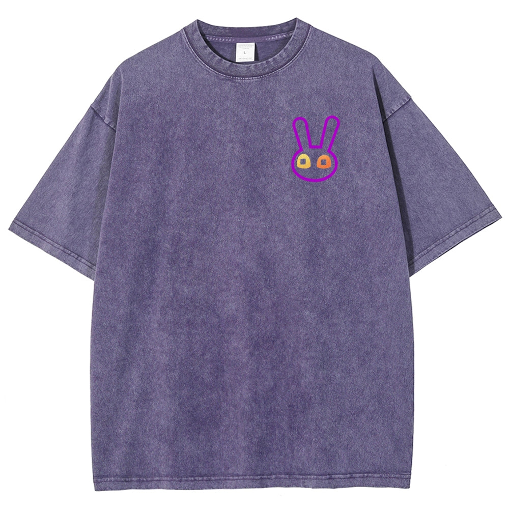 The Amazing Digital Circus Unisex Fit Washed T-Shirt 2512018580