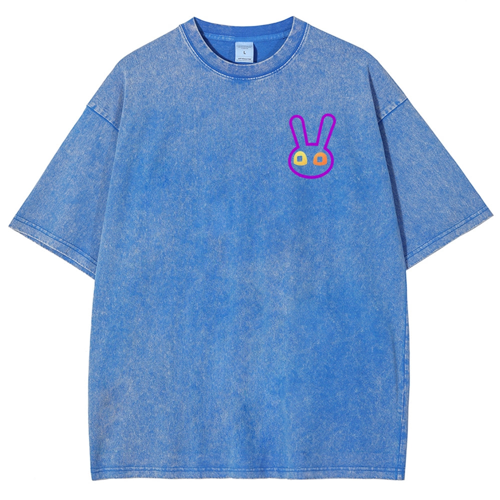 The Amazing Digital Circus Unisex Fit Washed T-Shirt 2512018580