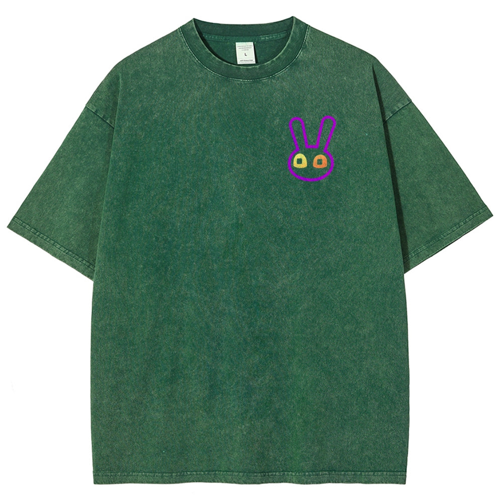 The Amazing Digital Circus Unisex Fit Washed T-Shirt 2512018580