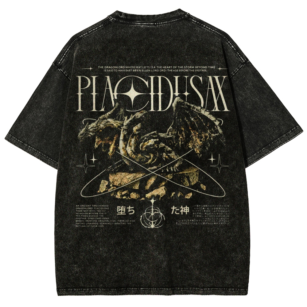 Dark Souls   Unisex Fit Washed T-Shirt 2601005297