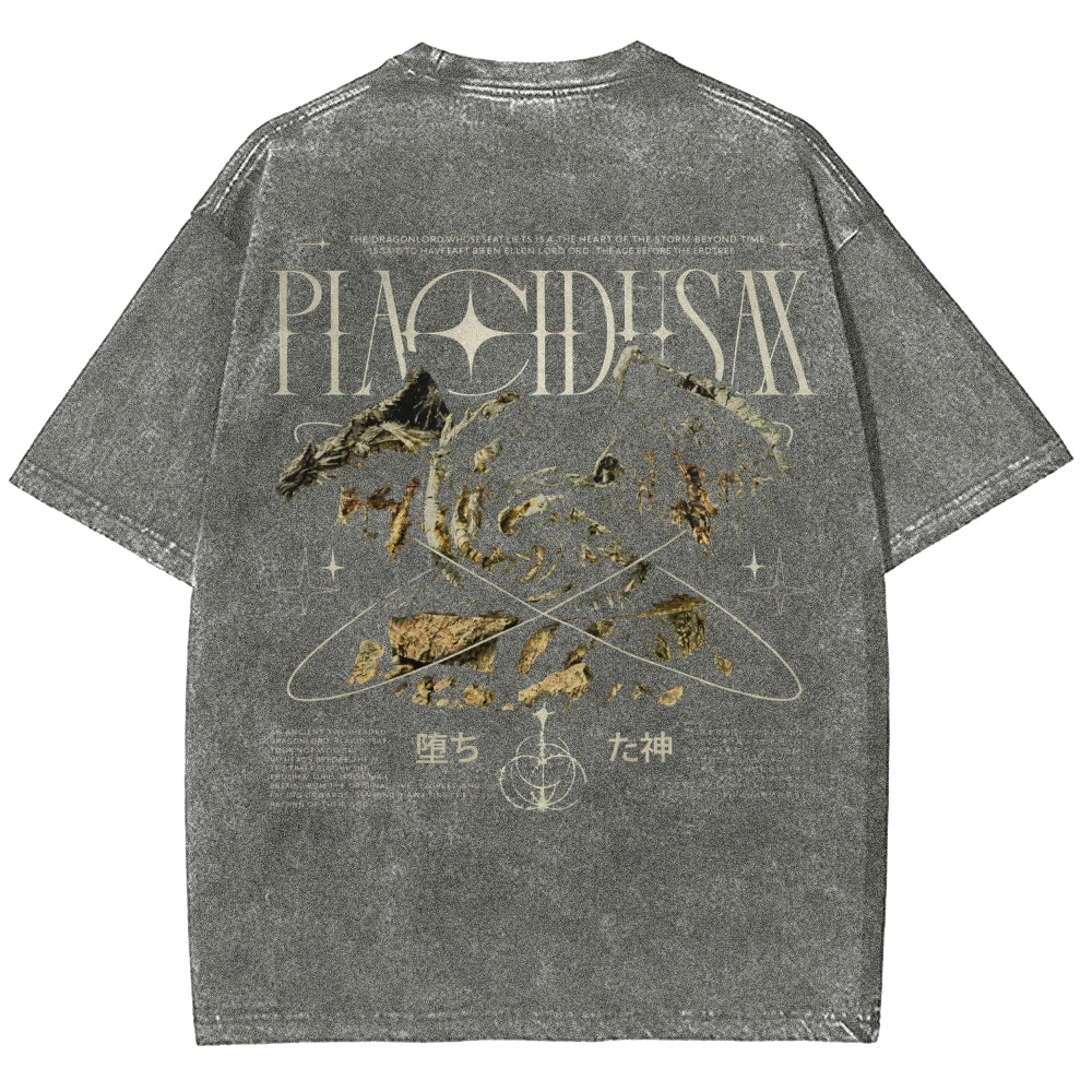 Dark Souls   Unisex Fit Washed T-Shirt 2601005297