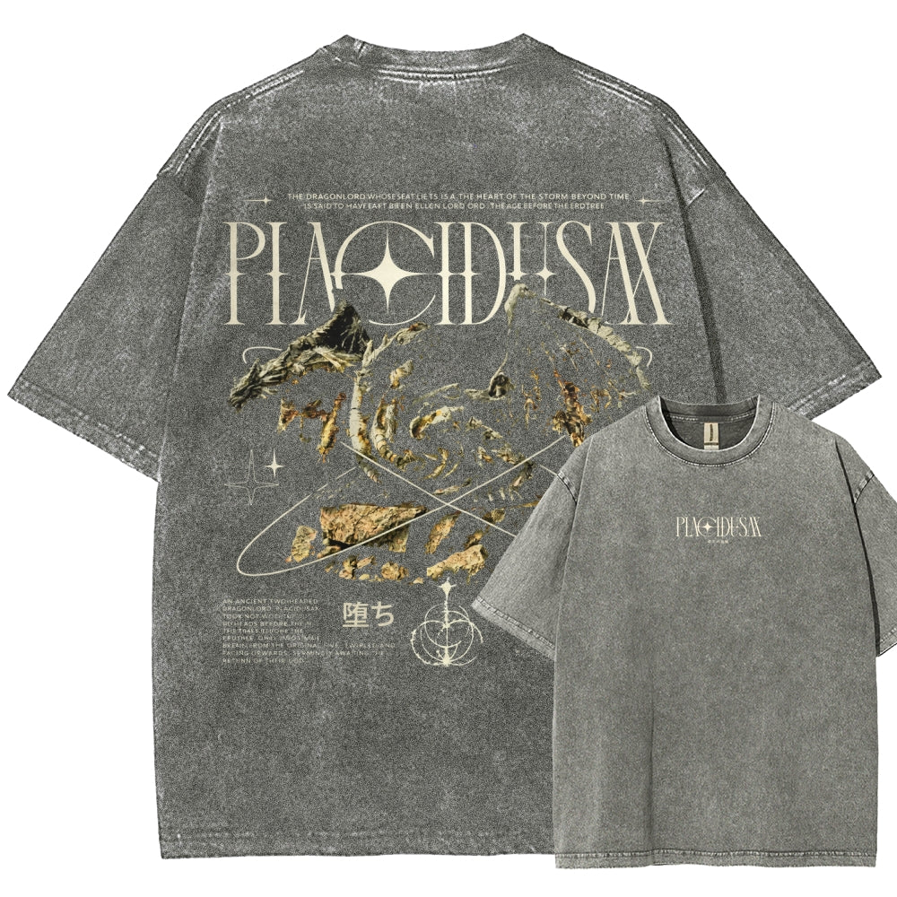 Dark Souls   Unisex Fit Washed T-Shirt 2601005297