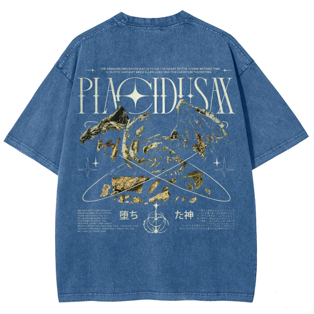 Dark Souls   Unisex Fit Washed T-Shirt 2601005297