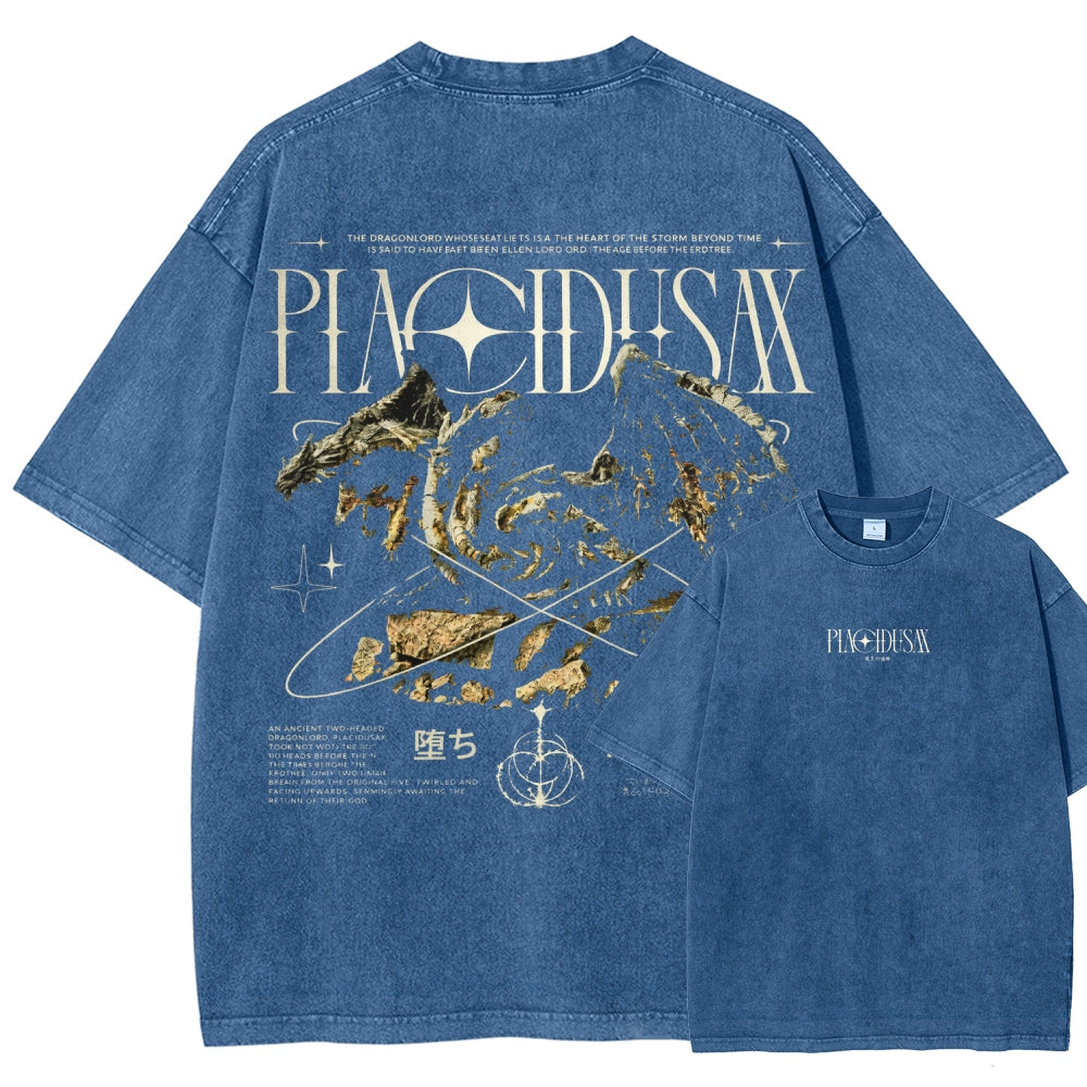 Dark Souls   Unisex Fit Washed T-Shirt 2601005297