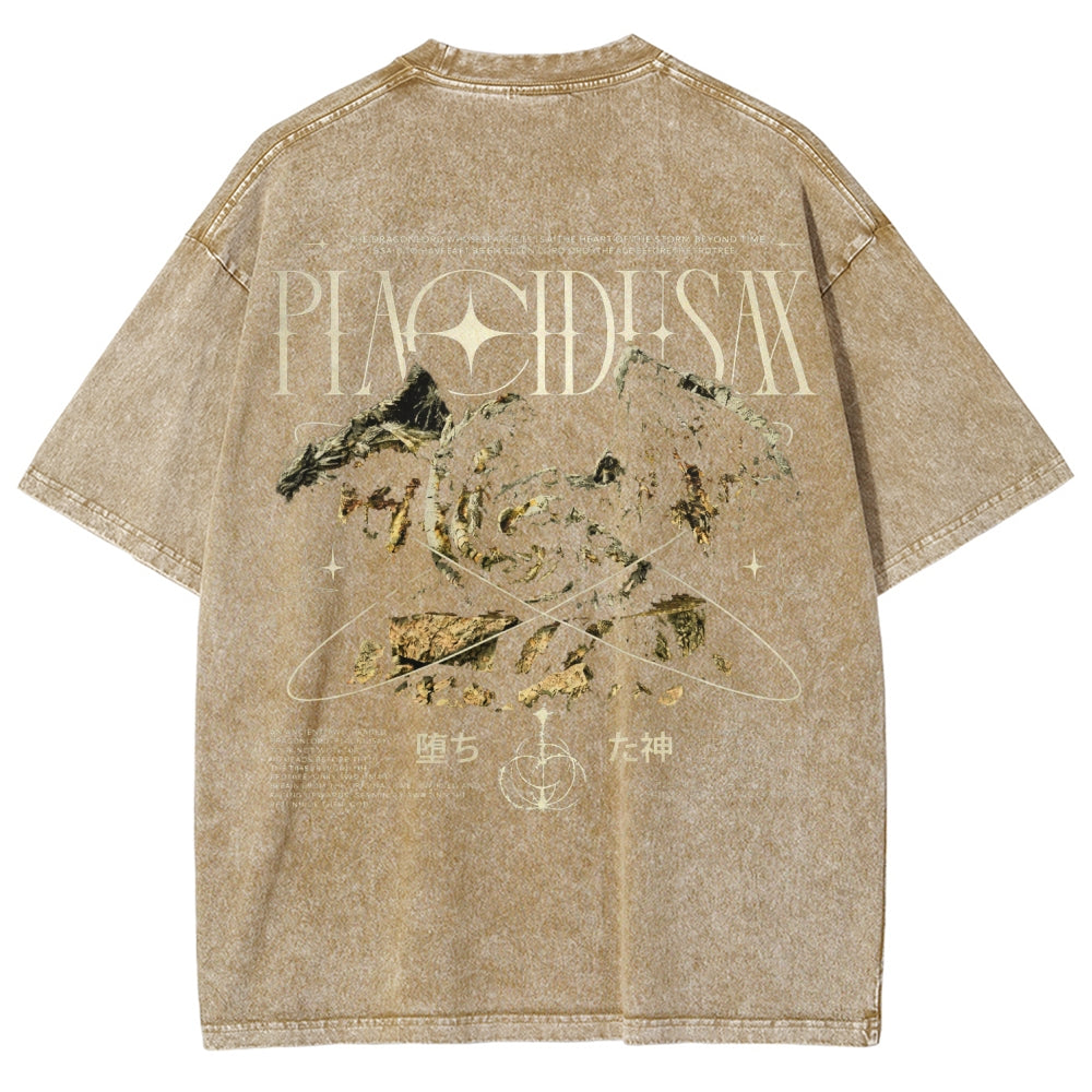 Dark Souls   Unisex Fit Washed T-Shirt 2601005297