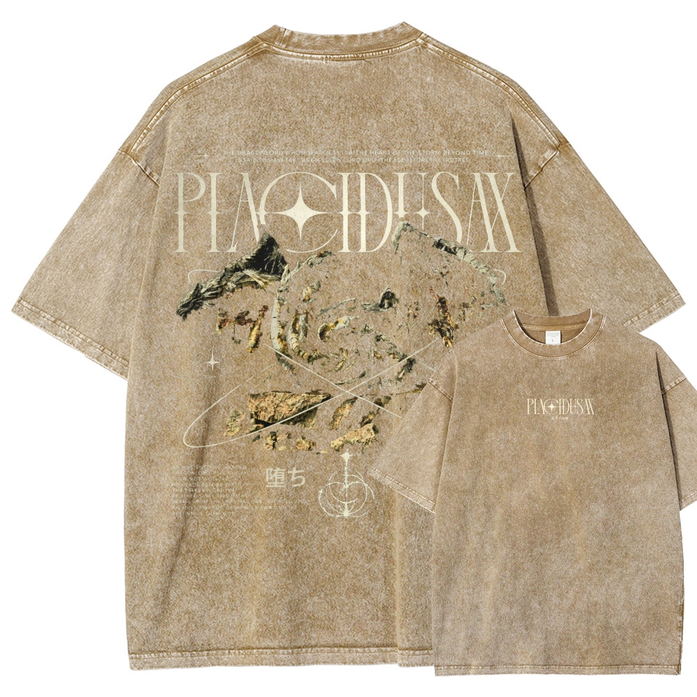 Dark Souls   Unisex Fit Washed T-Shirt 2601005297