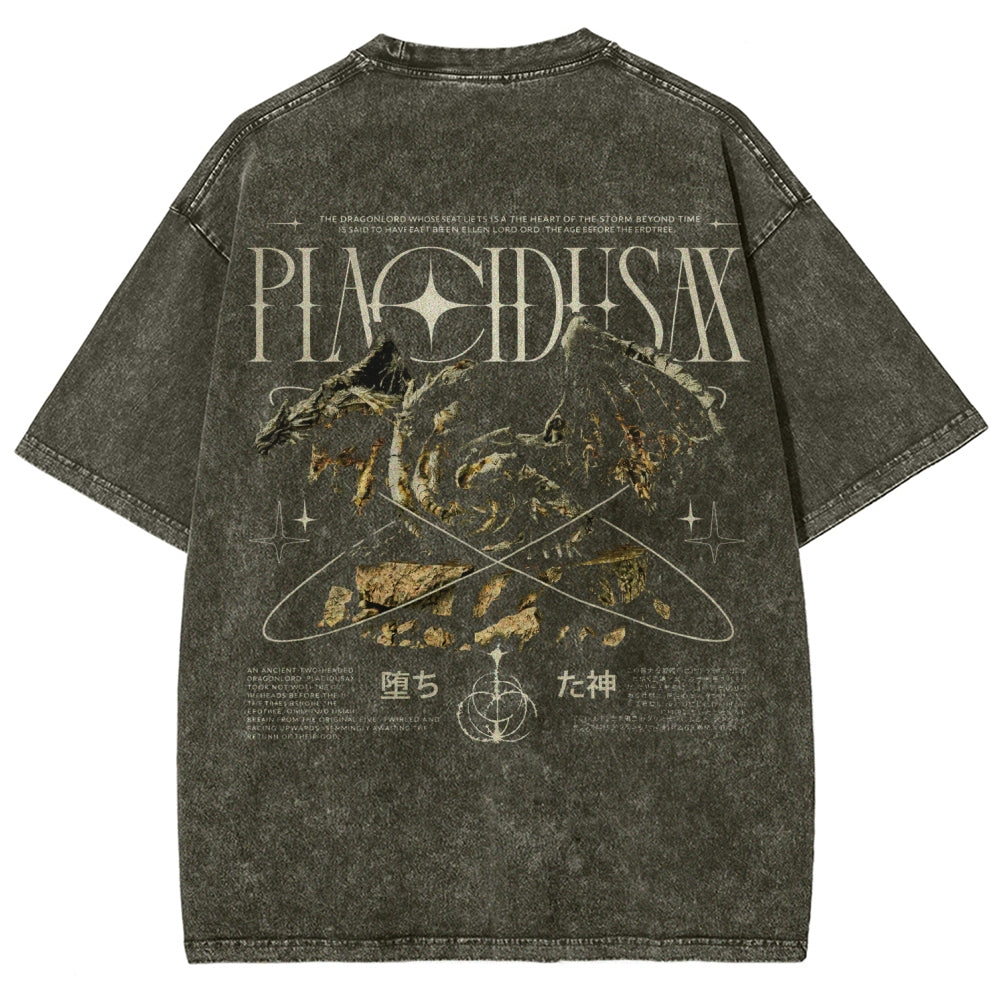 Dark Souls   Unisex Fit Washed T-Shirt 2601005297