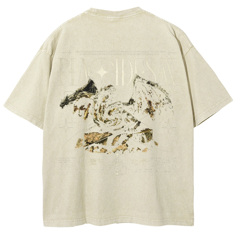 Dark Souls   Unisex Fit Washed T-Shirt 2601005297