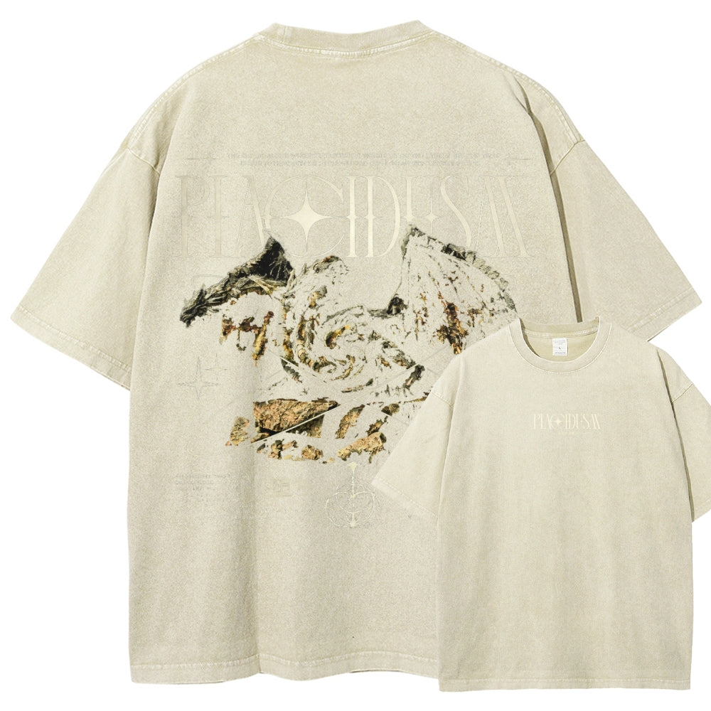Dark Souls   Unisex Fit Washed T-Shirt 2601005297