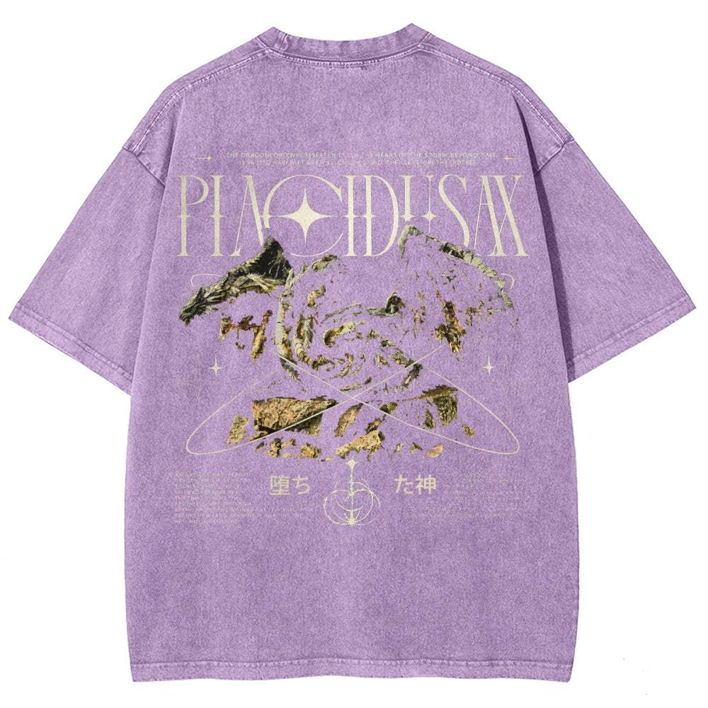 Dark Souls   Unisex Fit Washed T-Shirt 2601005297