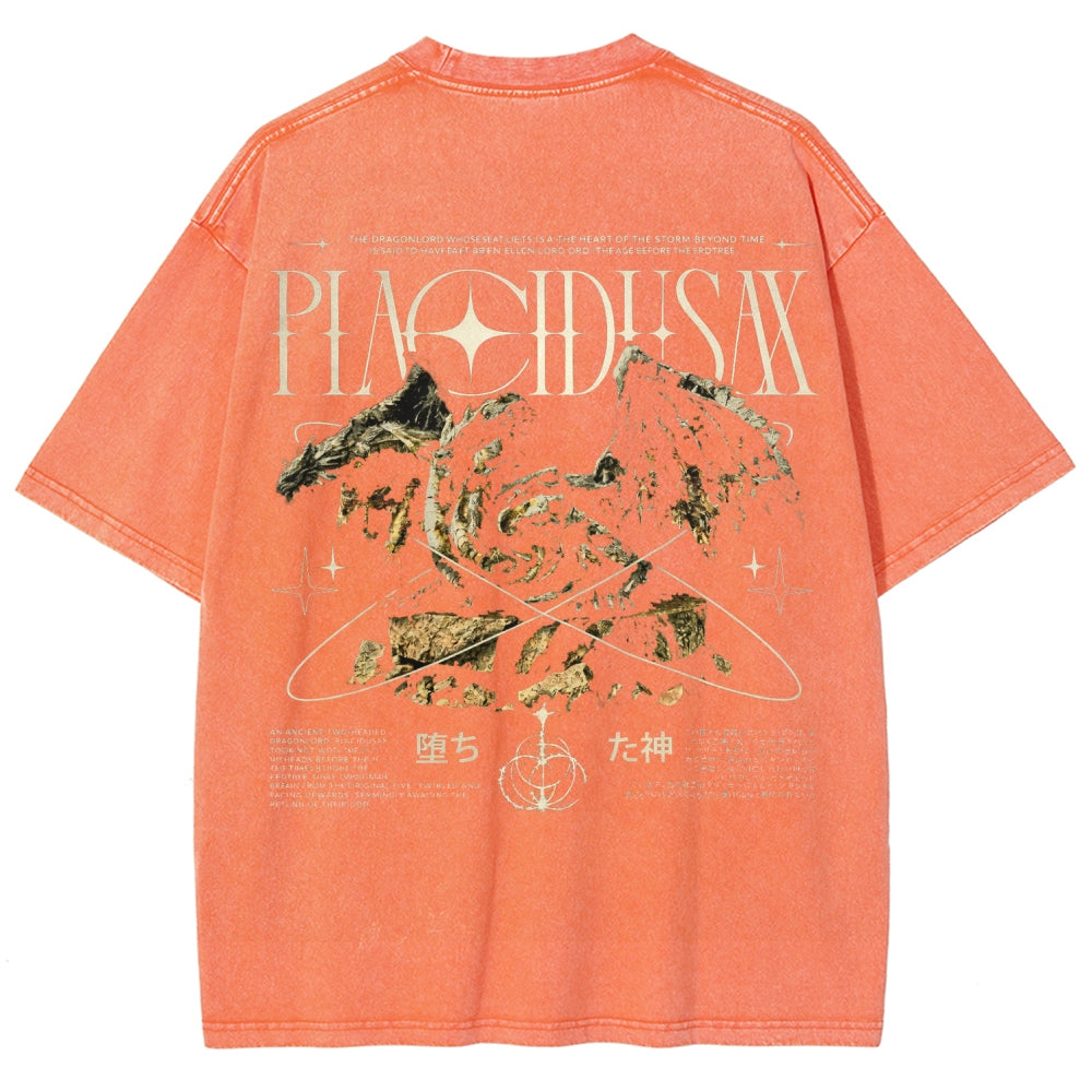 Dark Souls   Unisex Fit Washed T-Shirt 2601005297