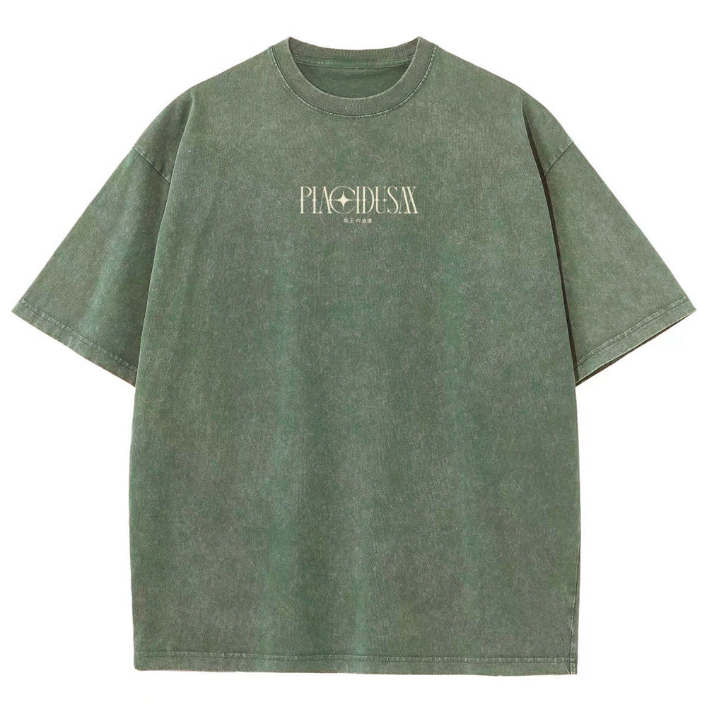 Dark Souls   Unisex Fit Washed T-Shirt 2601005297