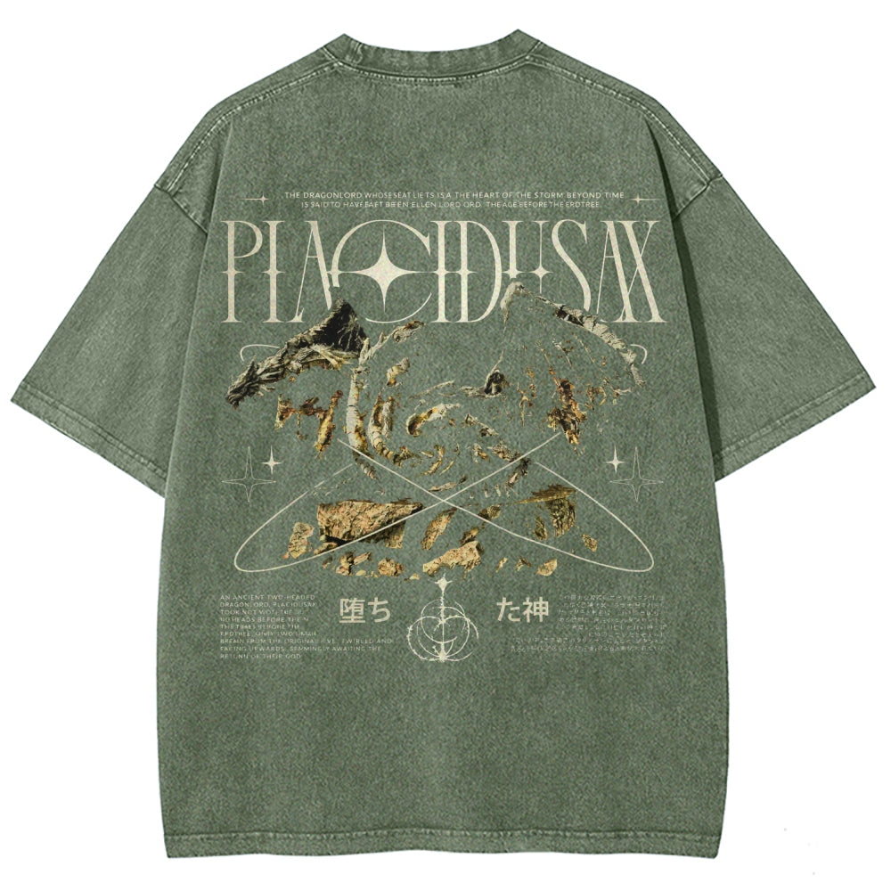 Dark Souls   Unisex Fit Washed T-Shirt 2601005297