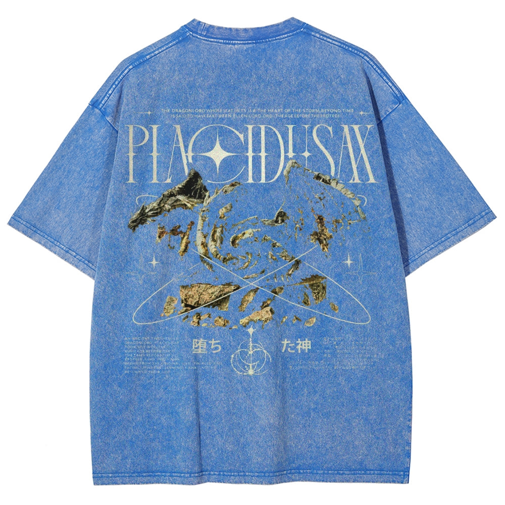 Dark Souls   Unisex Fit Washed T-Shirt 2601005297
