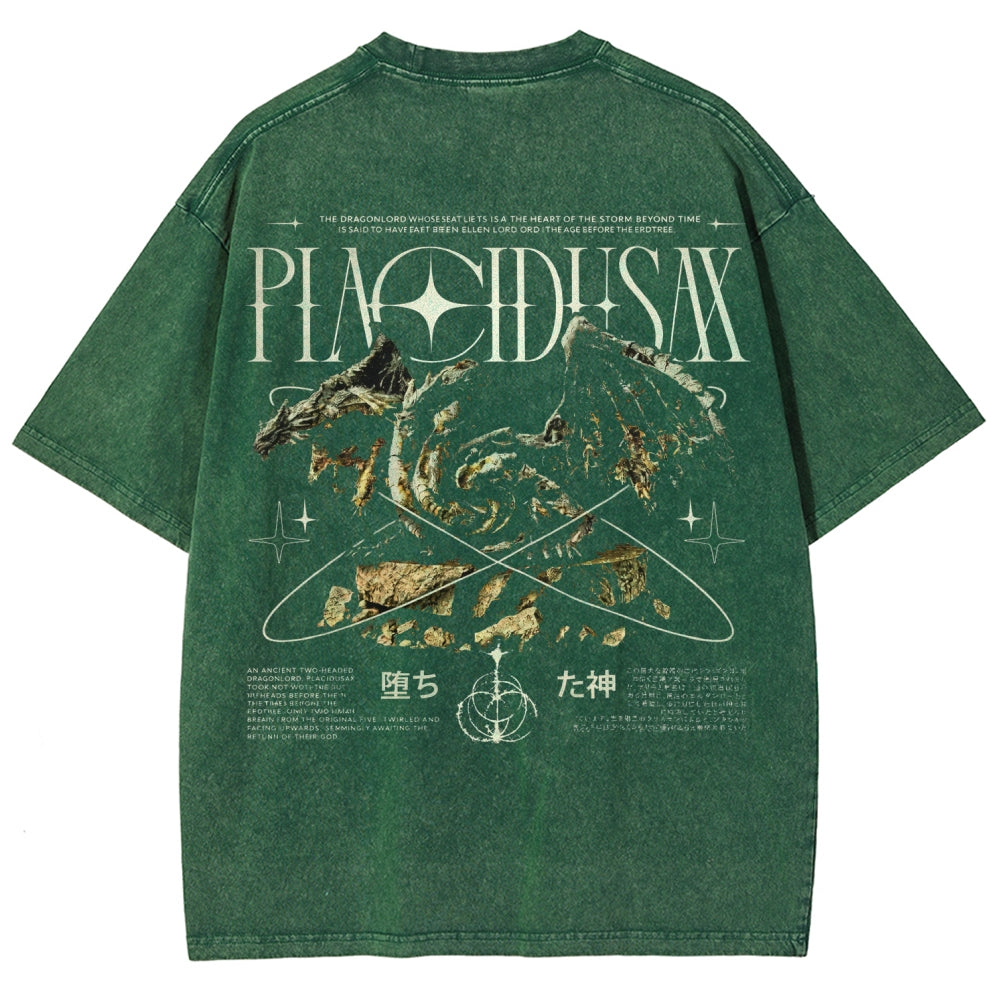 Dark Souls   Unisex Fit Washed T-Shirt 2601005297