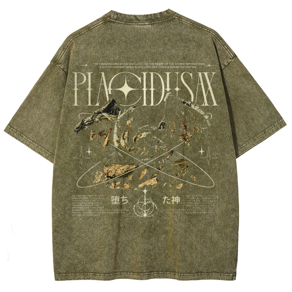 Dark Souls   Unisex Fit Washed T-Shirt 2601005297