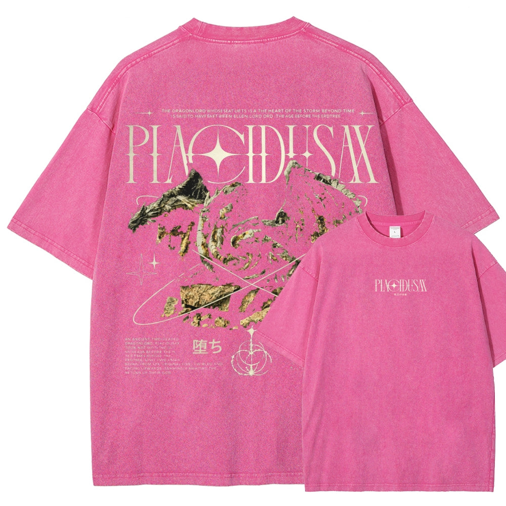 Dark Souls   Unisex Fit Washed T-Shirt 2601005297