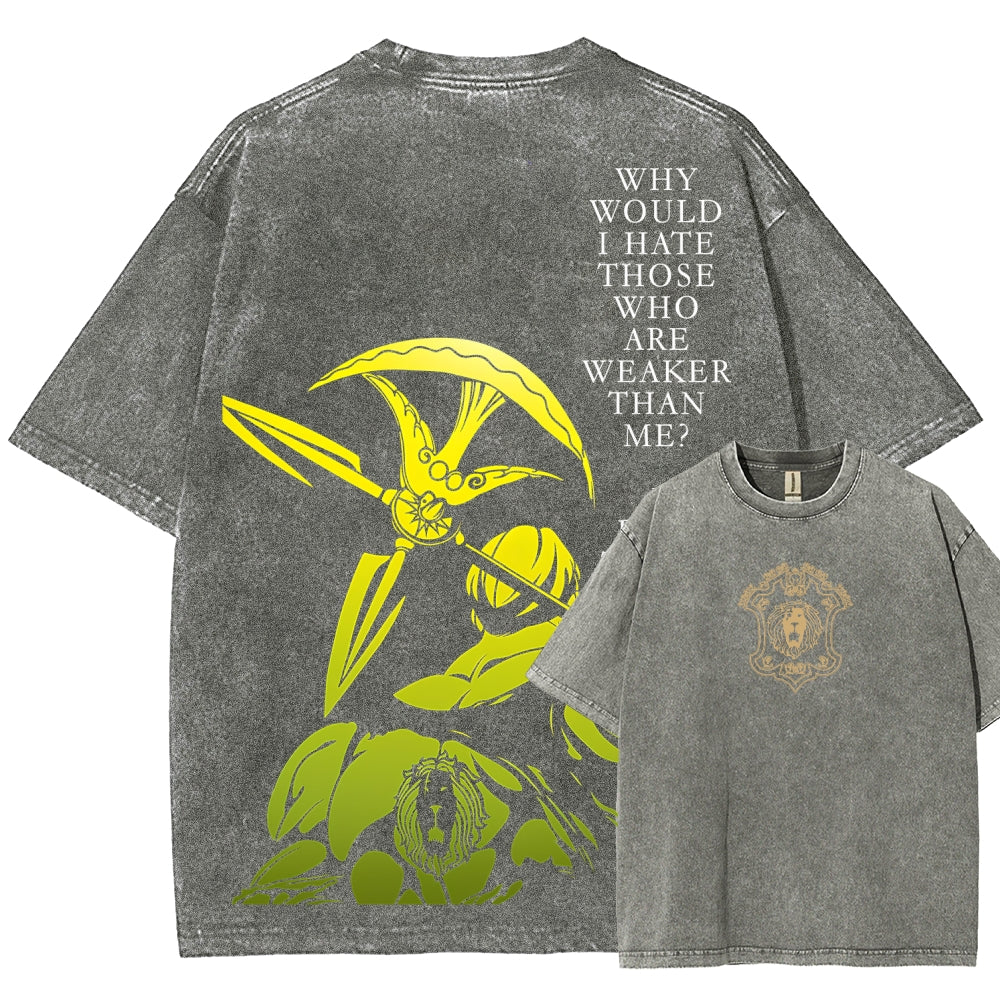 Seven Deadly Sins Unisex Fit Washed T-Shirt 2601009554