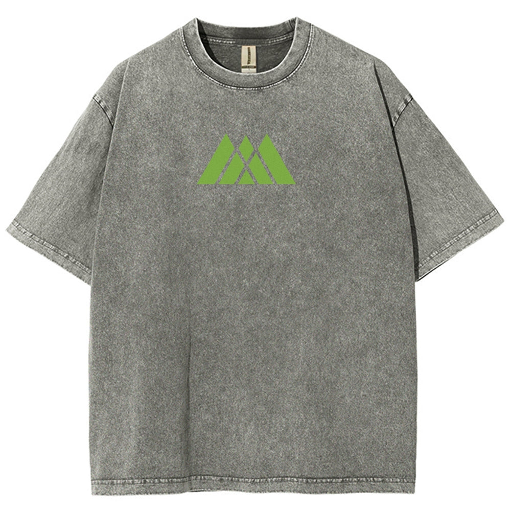Destiny Unisex Fit Washed T-Shirt 2602003110