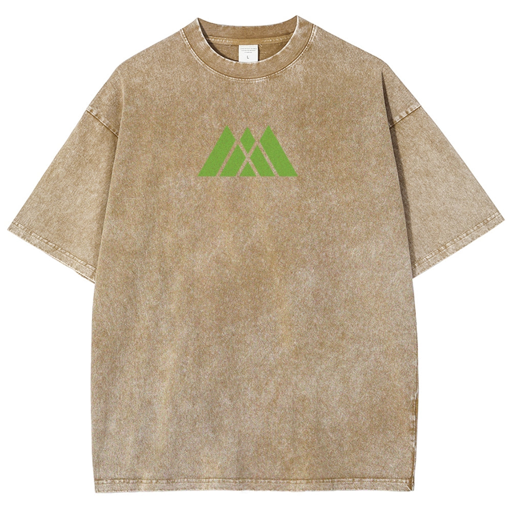 Destiny Unisex Fit Washed T-Shirt 2602003110