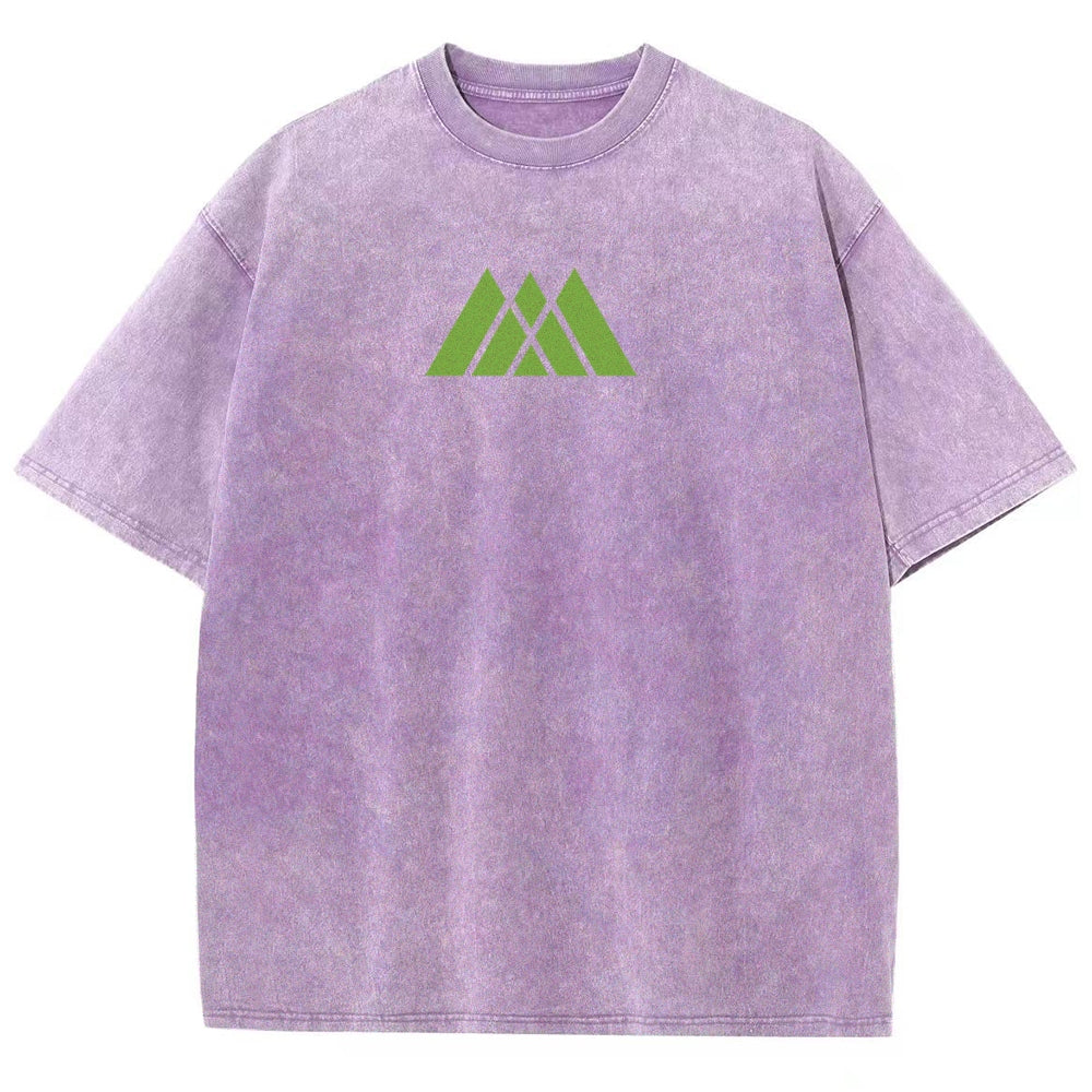 Destiny Unisex Fit Washed T-Shirt 2602003110