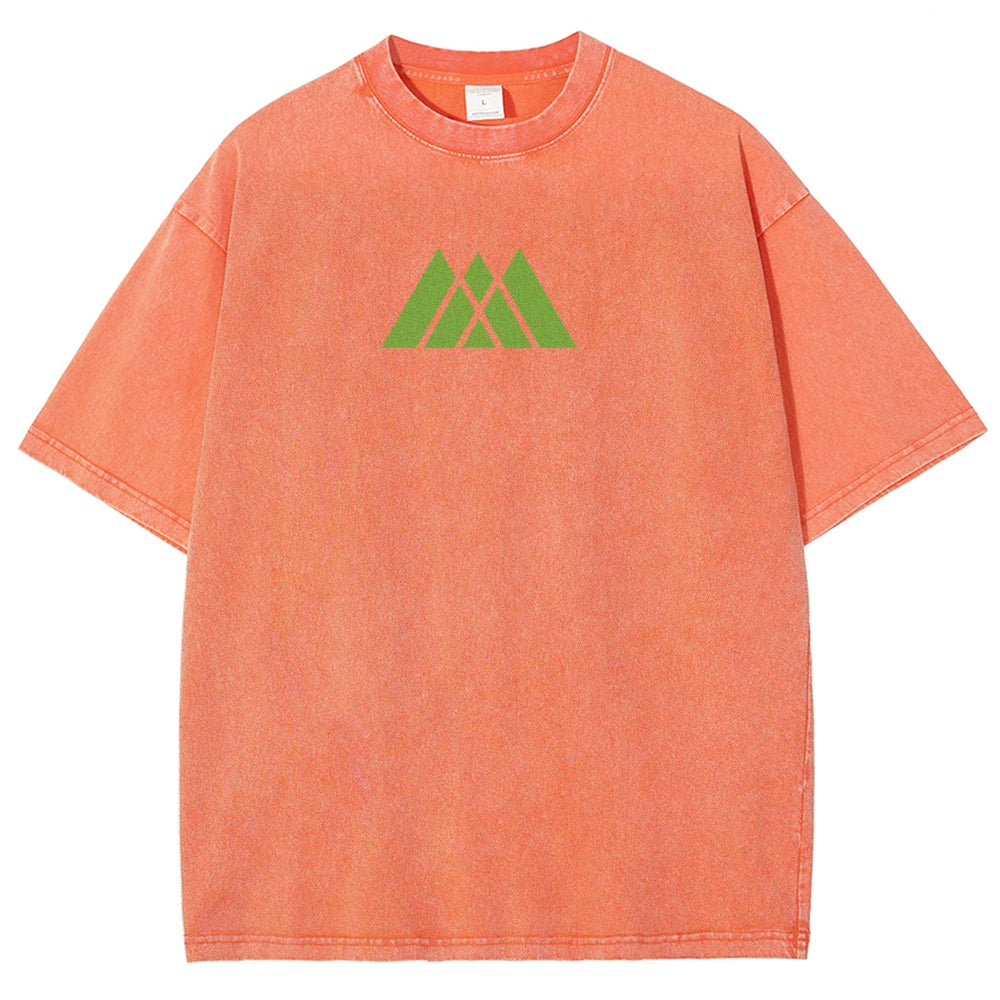 Destiny Unisex Fit Washed T-Shirt 2602003110