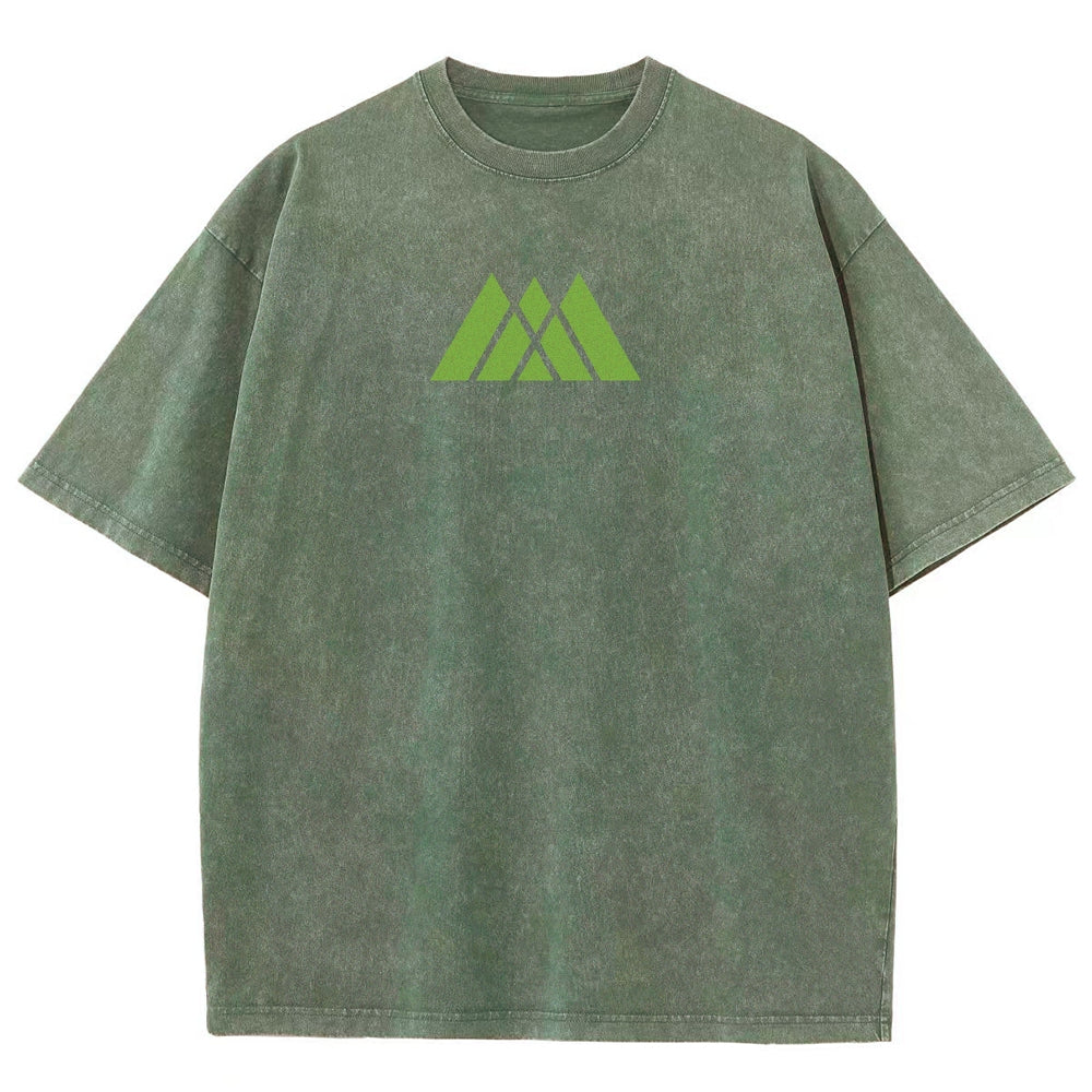 Destiny Unisex Fit Washed T-Shirt 2602003110