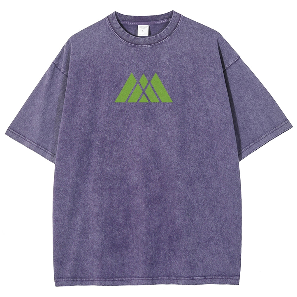 Destiny Unisex Fit Washed T-Shirt 2602003110