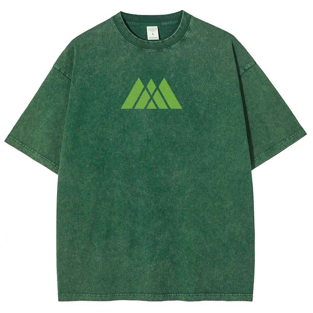 Destiny Unisex Fit Washed T-Shirt 2602003110