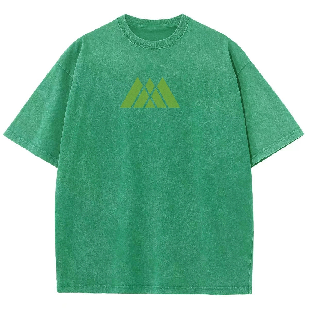 Destiny Unisex Fit Washed T-Shirt 2602003110