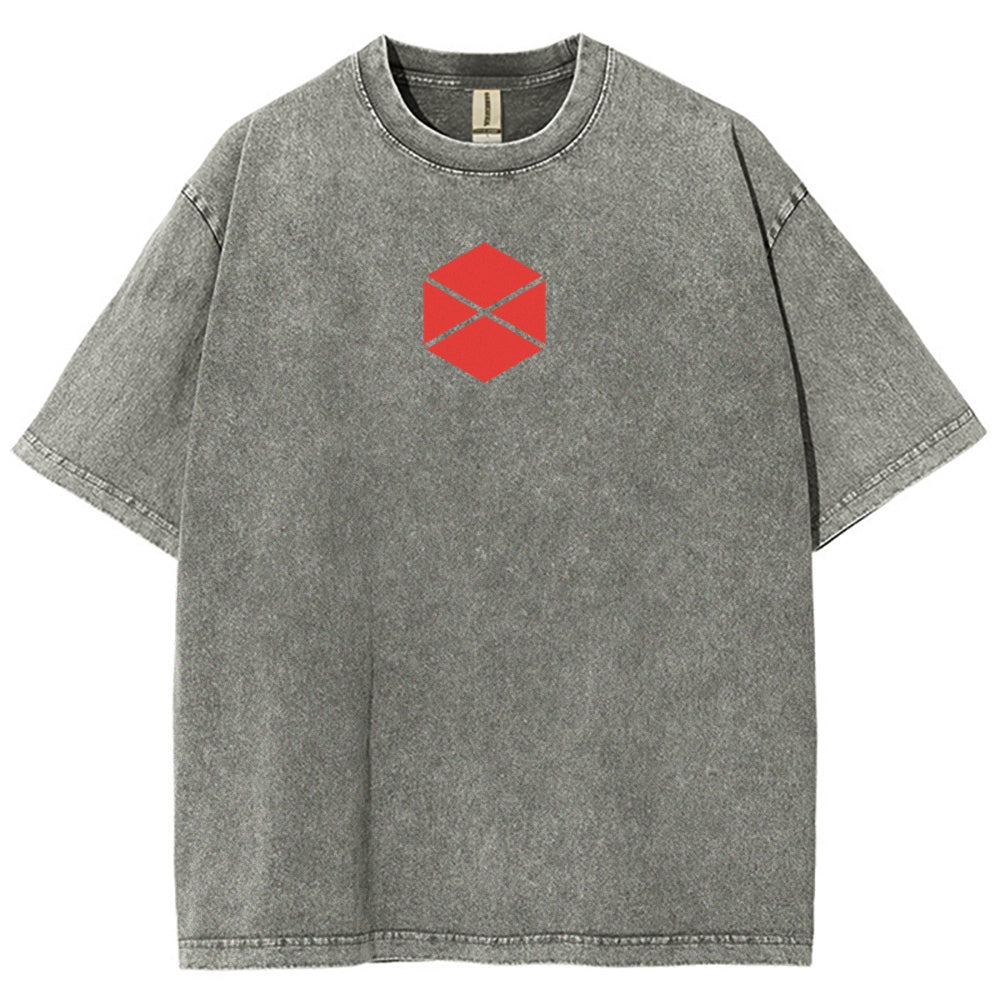 Destiny Unisex Fit Washed T-Shirt 2602003112