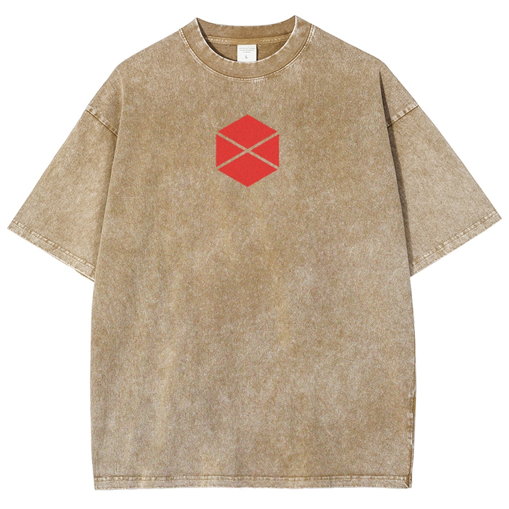 Destiny Unisex Fit Washed T-Shirt 2602003112