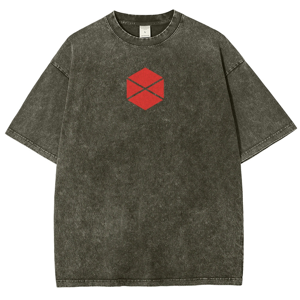 Destiny Unisex Fit Washed T-Shirt 2602003112