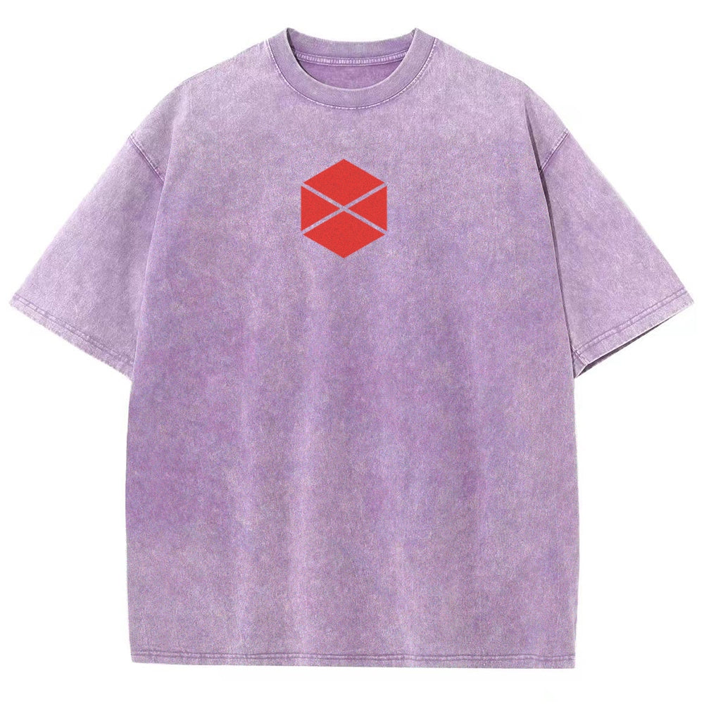 Destiny Unisex Fit Washed T-Shirt 2602003112