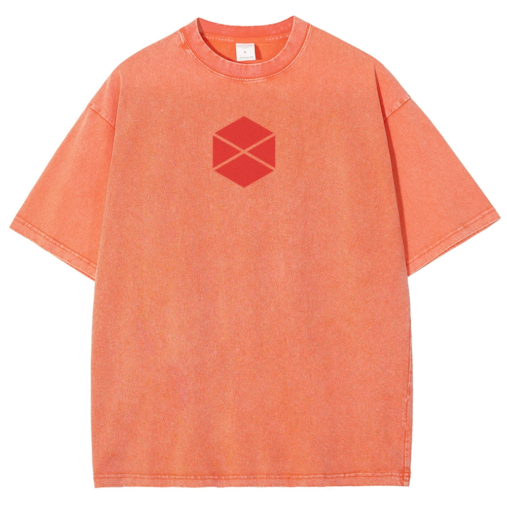 Destiny Unisex Fit Washed T-Shirt 2602003112