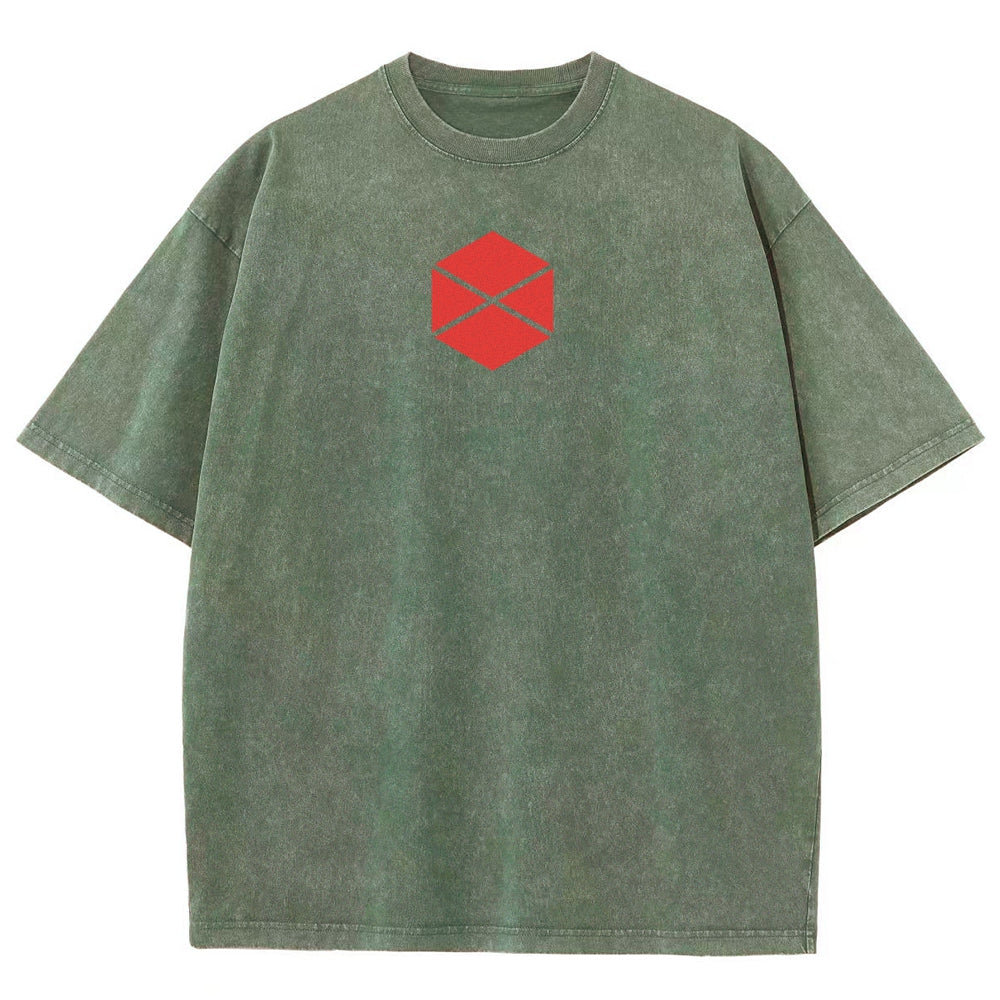 Destiny Unisex Fit Washed T-Shirt 2602003112