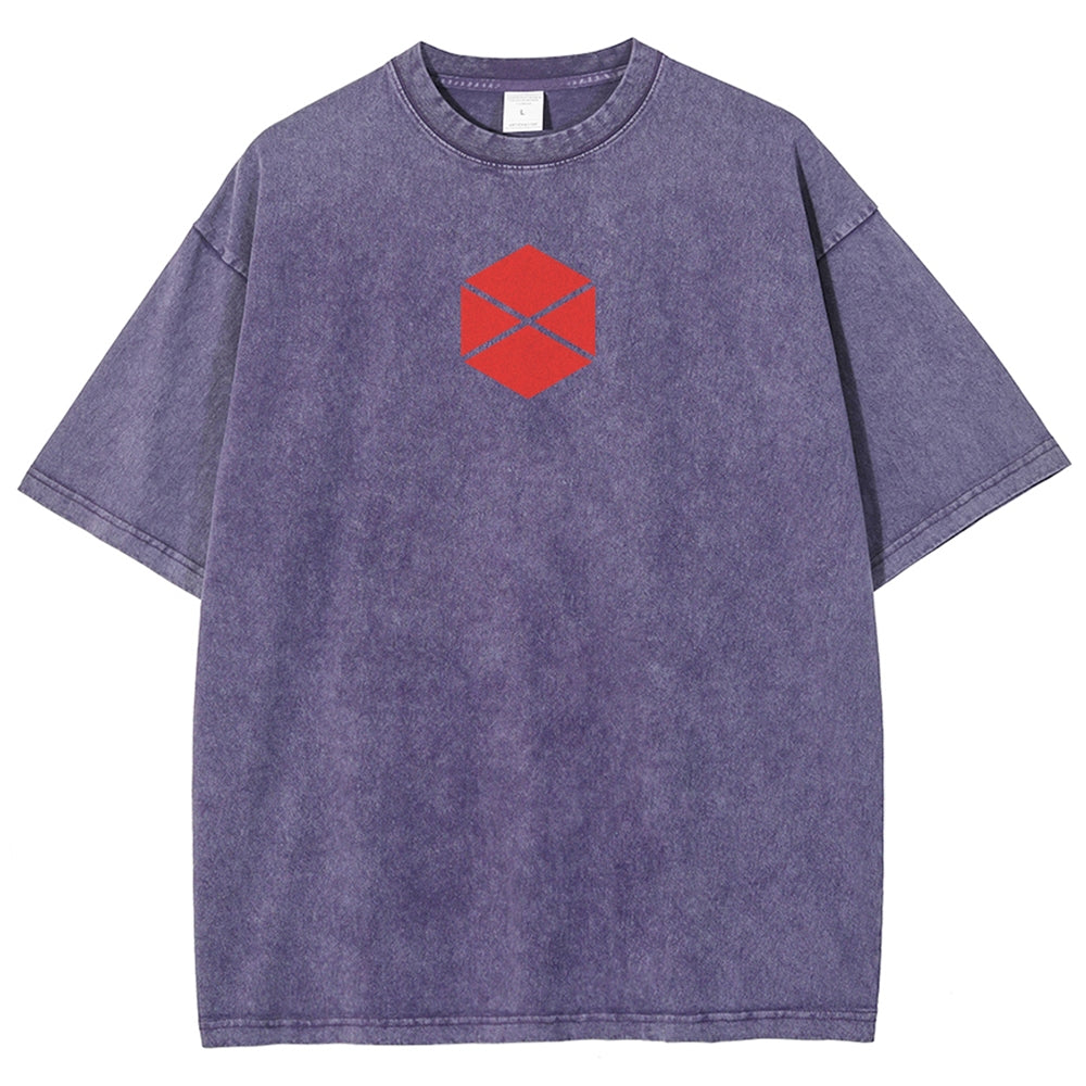 Destiny Unisex Fit Washed T-Shirt 2602003112