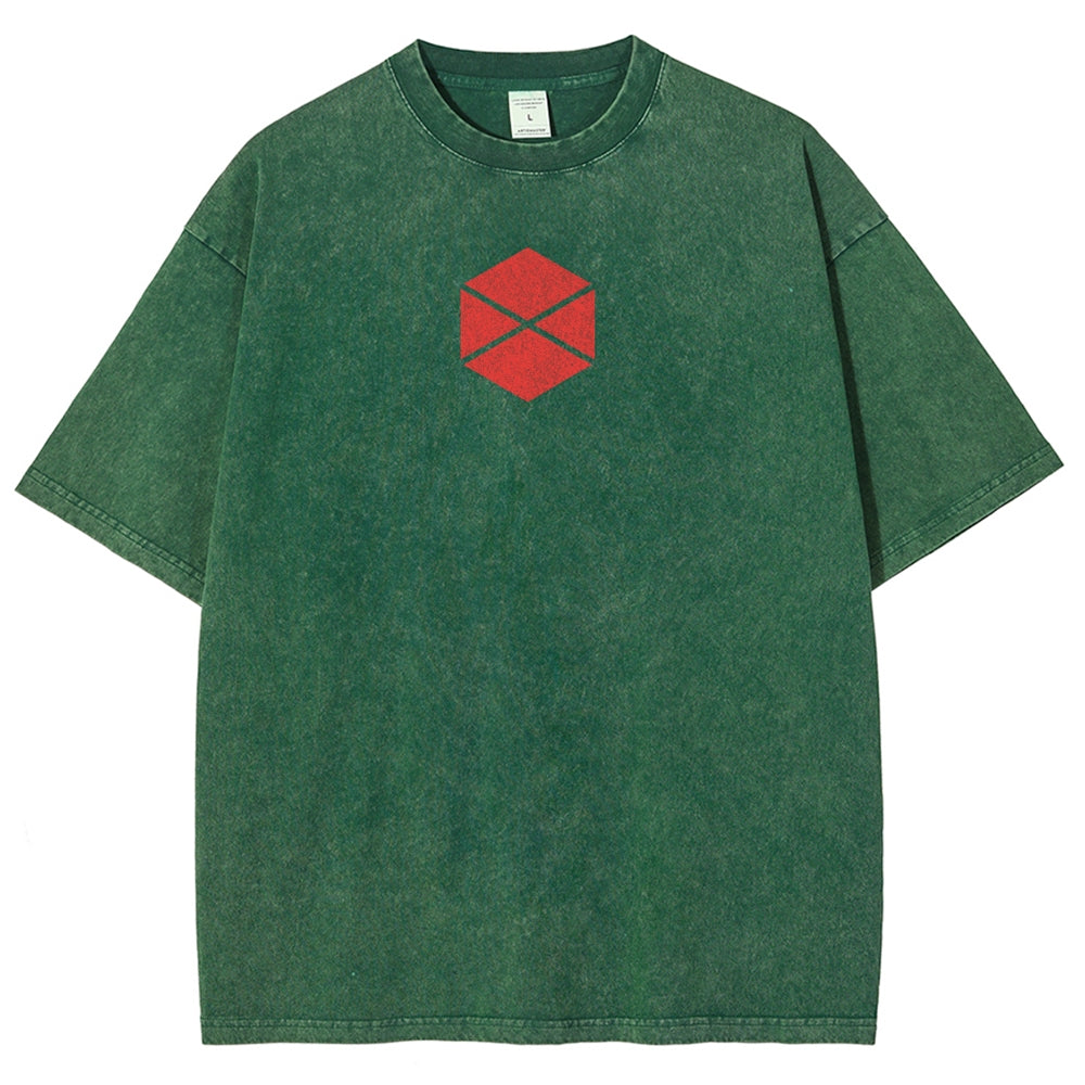 Destiny Unisex Fit Washed T-Shirt 2602003112