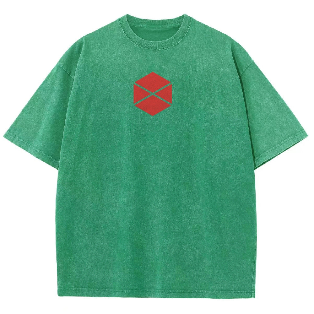 Destiny Unisex Fit Washed T-Shirt 2602003112