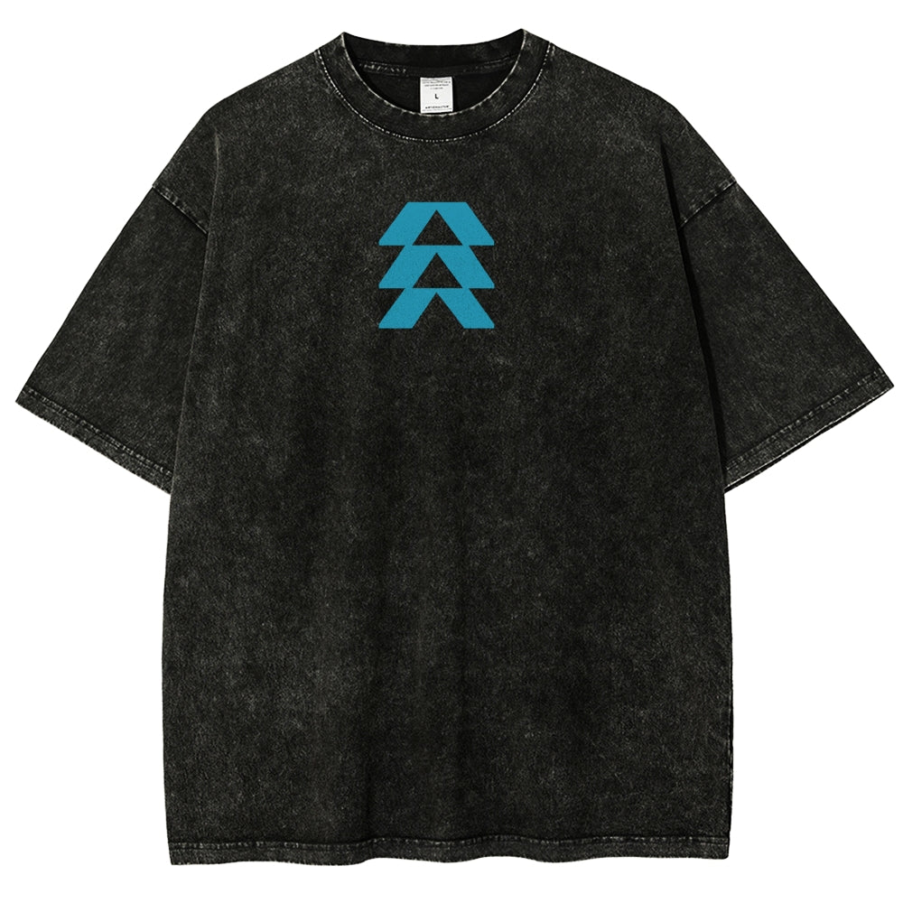 Destiny Unisex Fit Washed T-Shirt 2602003113