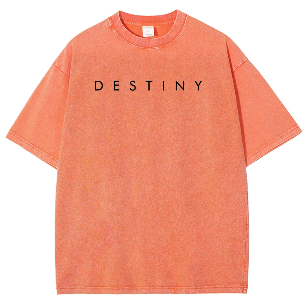 Destiny Unisex Fit Washed T-Shirt 2602003746