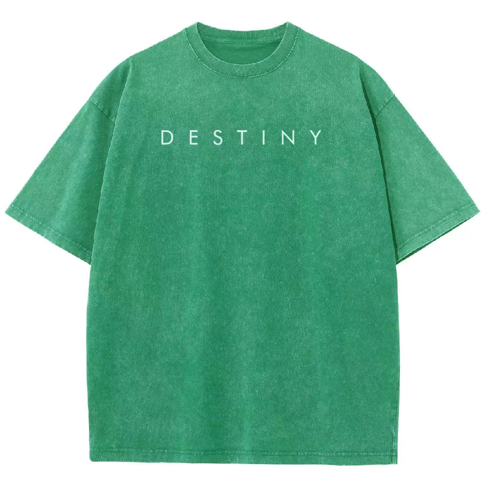 Destiny Unisex Fit Washed T-Shirt 2602003752